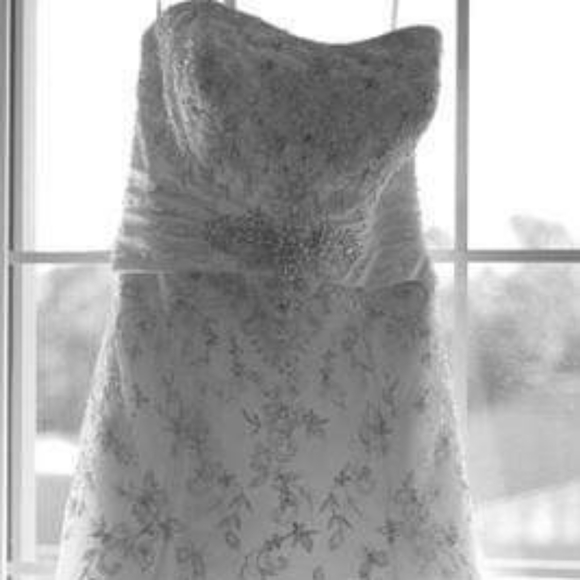 Brand new wedding dress(gown) - Picture 3 of 4